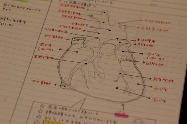 看護学校入学前 入学後 国試前の勉強法 面接で合格を勝ち取れ看護学校 質問と回答